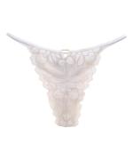 Whispers レースソング